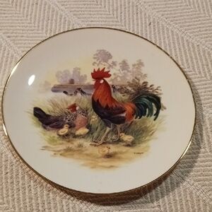 White and Gold Farmhouse Dinnerware Plate